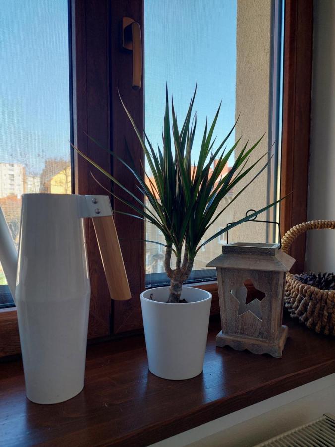 Emily Apartment Košice Extérieur photo